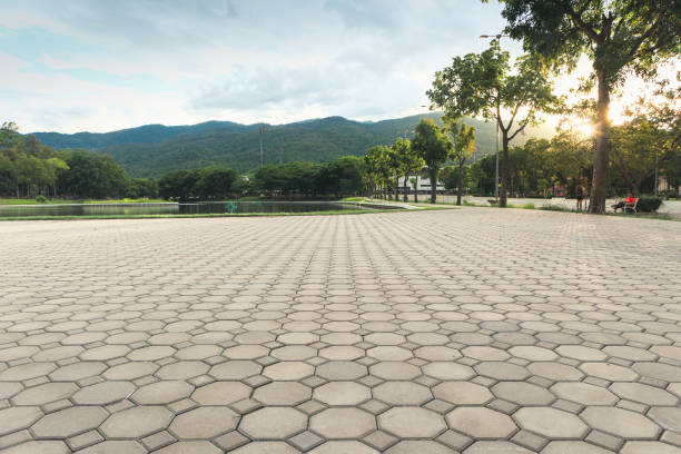 Best Concrete Paver Driveway  in Laguna Vista, TX